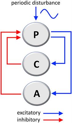 Mal de Debarquement Syndrome: A Matter of Loops?